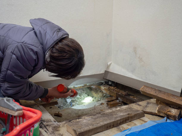 Best Commercial Mold Inspection  in Lawrenceburg, IN