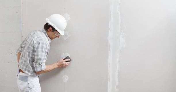 Professional Mold Removal in Lawrenceburg, IN