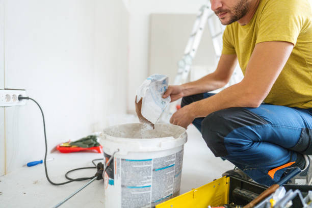 Best Attic Mold Removal  in Lawrenceburg, IN
