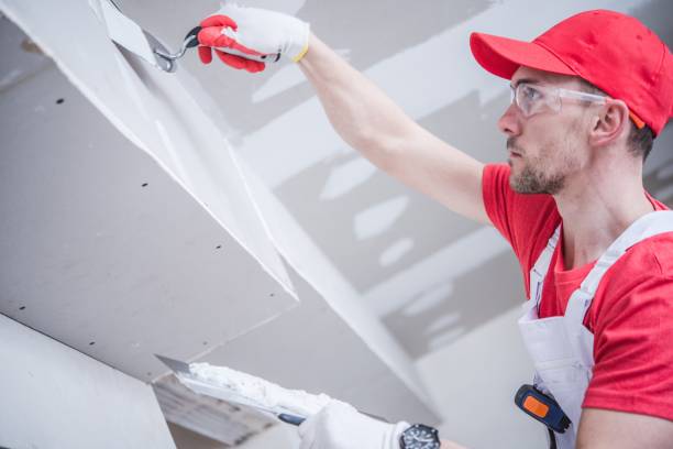 Best Mold Remediation for Healthcare Facilities  in Lawrenceburg, IN